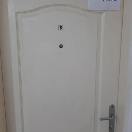 Zivanovic1 Apartment Banja Koviljaca